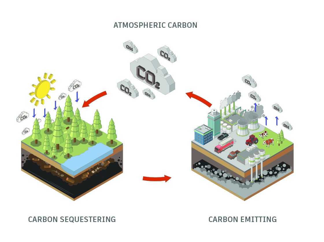 Exploring Carbon-negative Materials: Autodesk Research's Path To Net 